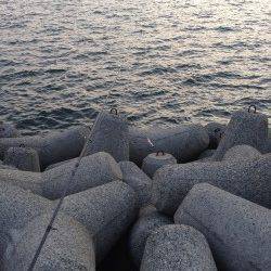 忠岡のホクシン前テトラ帯を2時間ランガンしてガシラ4匹