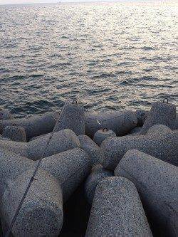 忠岡のホクシン前テトラ帯を2時間ランガンしてガシラ4匹