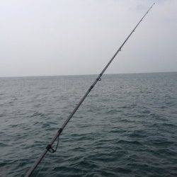 夕方の時合のキス釣果〜淡輪の外向きテトラに小物狙いでエントリー