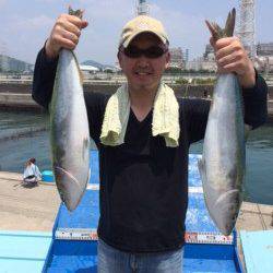 マリーナシティ海洋釣り堀　活きアジでメジロヒット