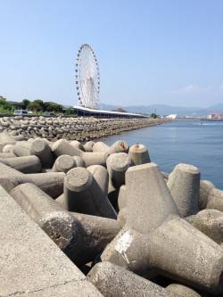 おのころ愛ランド周辺　エギングロッドで気軽…