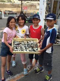 マリーナシティ海釣り公園　サビキでマイワシ…
