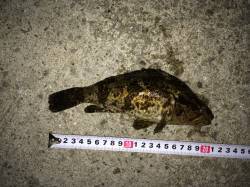 鳥取ノ荘でのメバリングでタケノコメバルの釣…