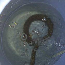 紀ノ川河口ぶっこみでウナギ自己最大サイズがヒット