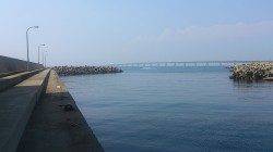 田尻漁港のガシリングでソイ・ハゼの釣果