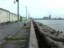 貝塚にアジ狙いで釣行〜アジの反応なくテトラ際でメバルをキャッチ