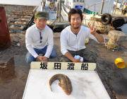 黒島の筏 のませ釣りでマゴチ53cm！