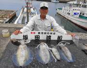 黒島の磯 ヤエンでのアオリイカ釣果