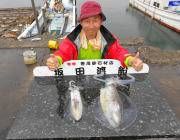 黒島の磯のアオリイカ釣果〜3人で11パイ