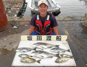 黒島の筏で年なしチヌ51cm！