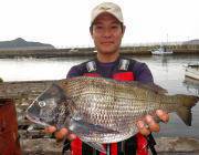 黒島の筏で年なしチヌ51cm！