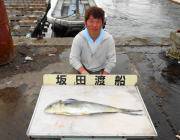 黒島の磯でシイラ79cm、ジグ30gでヒッ…