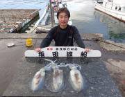 黒島の磯 ヤエンでアオリイカ1.5㎏までを三人で12ハイ