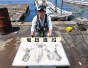 黒島の磯 ヤエンとエギングで1.8kgまで…