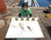 黒島の磯　エギングで1キロ級アオリイカの釣…