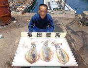 黒島の磯のヤエン釣果〜アオリイカ2.2㎏の良型