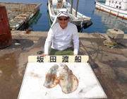 黒島の磯のヤエン釣果〜アオリイカ2.2㎏の…