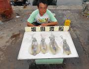 黒島の磯のヤエンでキロUPアオリイカの釣果…