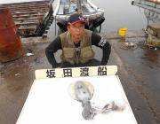 黒島の筏 ヤエンでアオリイカ1.3kg