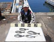 鷹島のカンドリ フカセ釣りでグレ