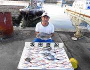 湾内の筏でチヌ9枚・黒島の筏でチヌのほかチャリコ数釣り