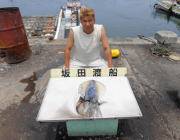 キロ前後の良型アオリイカ4ハイ〜黒島の磯のヤエン釣り