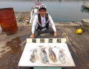 キロ前後の良型アオリイカ4ハイ〜黒島の磯の…