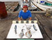 黒島の磯　エギングでのアオリイカ釣果