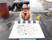 湾内の筏でチヌ・ヘダイ・チャリコの釣果