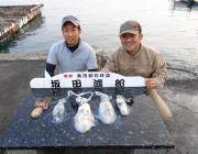 黒島の磯のアオリイカ釣果〜エギング&ヤエンで釣果あり