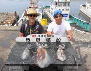 黒島の磯のアオリイカ釣果〜エギング&…