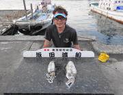 黒島の磯のアオリイカ エギングでキロUP含…