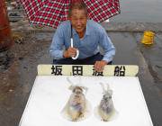 黒島の磯 ヤエンでのアオリイカ