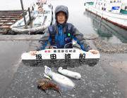 黒島の磯のエギングでのアオリイカ釣果