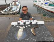 黒島の磯 ヤエンでのアオリイカ釣果
