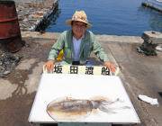 黒島の磯　ヤエンで2.0kgのアオリイカ