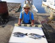 湾内の筏でチヌ49cm&45cm