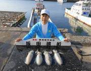 黒島の磯のエギング釣果〜アジカラーのエギで…