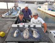 黒島の磯　ヤエンで2.0kgのアオリイカ