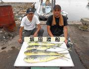 黒島の磯でルアーゲーム♪　シイラ&ハマチ