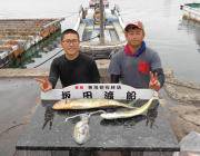 黒島の磯でヤエン釣り　アオリイカ、キロUPも釣れています