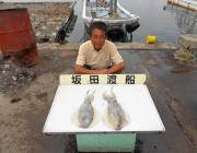 黒島の磯でヤエン釣り　アオリイカ、キロUP…