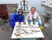 衣奈、湾内の筏でチヌ釣り