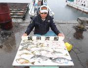 筏チヌ釣果　黒島の筏にて、エサはオキアミ・…