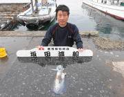 黒島の磯　ヤエンでのアオリイカ釣果