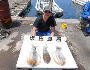 黒島の磯のアオリイカ、ヤエンでの釣果です