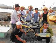 黒島の磯のルアー釣果〜シイラ&ハマ…