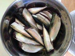 サビキで小サバ&エビ撒きでガシラ〜本命ハネはアタリなし。。。