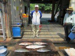 田井の釣り堀でメジロ・マダイ・シマアジ〜バラスとなかなか釣れません