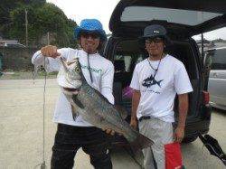 アシカ周辺でヒラスズキ72cm釣れてます！